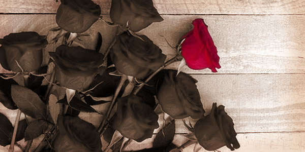 La saint-Valentin 2016 à Paris.