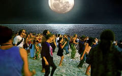 Nightlife - Spectacles, sorties, sports, clubbing