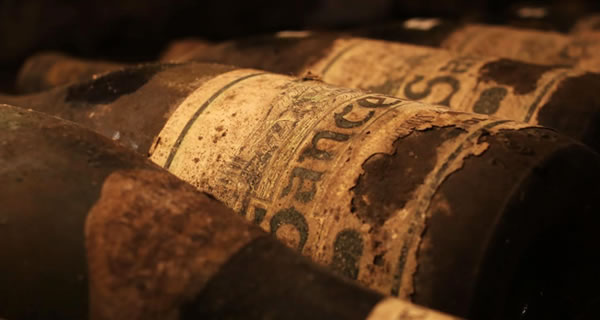 SANCERRE : Visites des chais et dégustations privée. SANCERRE : Visites des chais et dégustations privée.